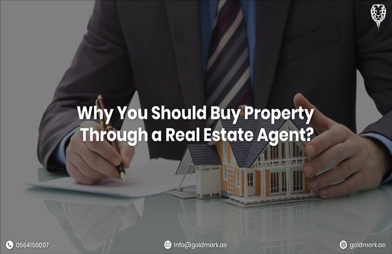 Why You Should Buy Property Through a Real Estate Agent?